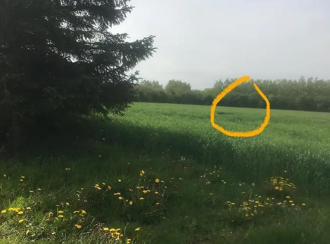 Farm stay Jaegergard *